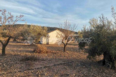 Grond in Biar, Alicante, Biar - € 65.000 | Ref: SF0442 - foto 13